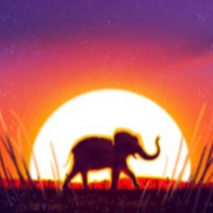 Meet your Posher, Audree